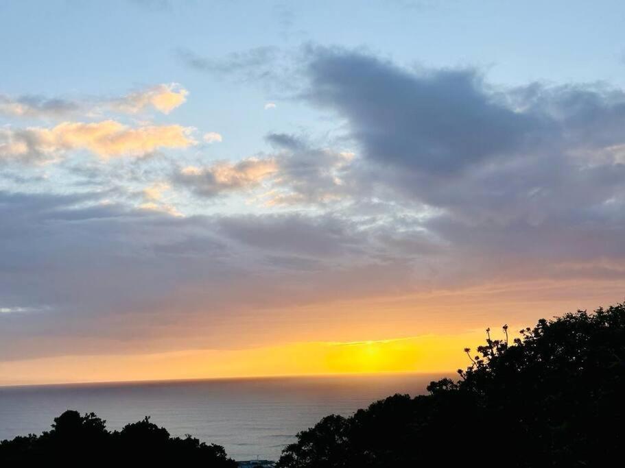普勒滕贝格湾Sea View Sun Centre公寓 外观 照片