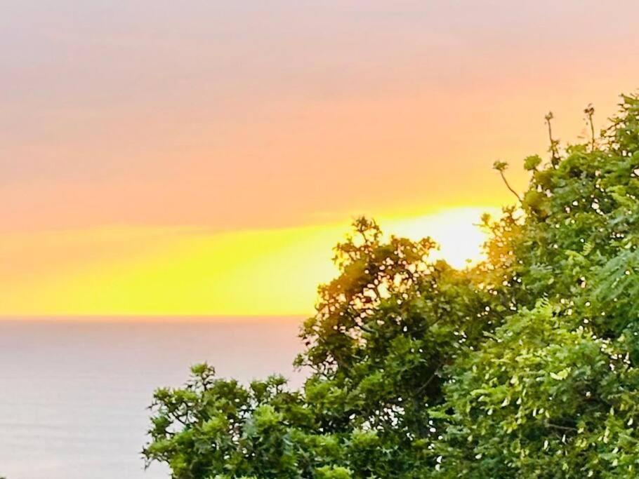 普勒滕贝格湾Sea View Sun Centre公寓 外观 照片