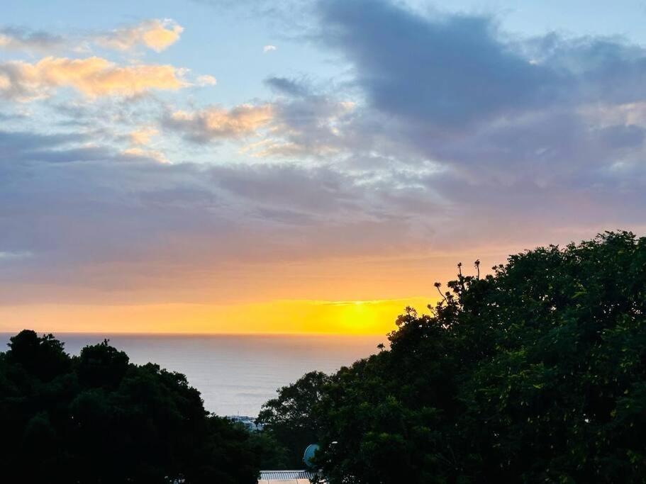 普勒滕贝格湾Sea View Sun Centre公寓 外观 照片