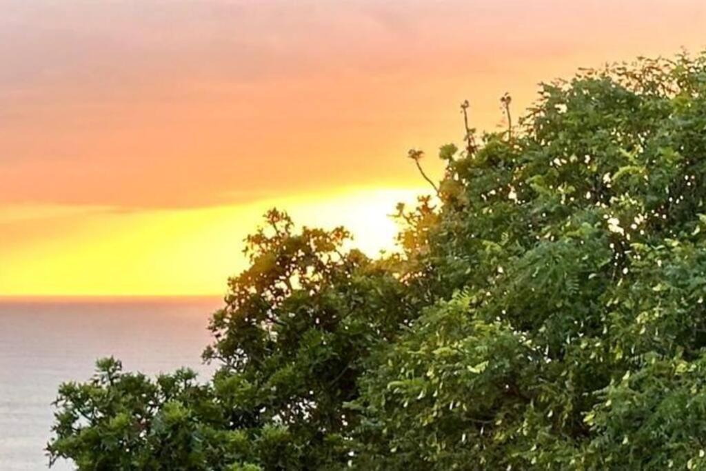 普勒滕贝格湾Sea View Sun Centre公寓 外观 照片